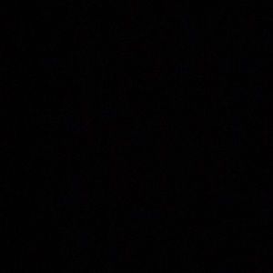 Meet your Posher, Jake